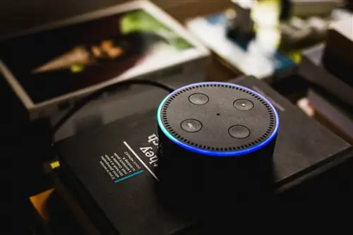 Рейтинг Alexa: почему я считаю, что инструмент поиска по сайту Alexa - пустая трата времени