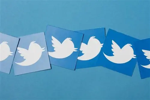 Twitter экспериментирует с новыми макетами рабочего стола для предстоящего редизайна