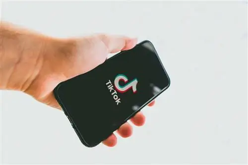 Поскольку TikTok сталкивается с усиливающейся негативной реакцией, должны ли рекламодатели отказаться от него?