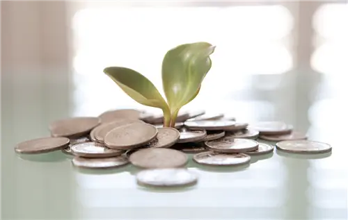 Как использовать свой блог в качестве ведущего инструмента воспитания