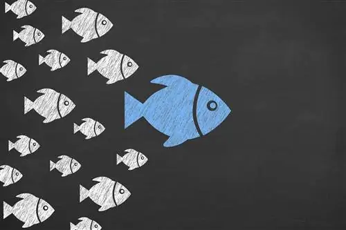 5 стилей лидерства для вашего цифрового бизнеса