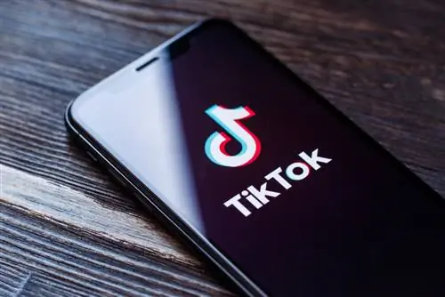 У TikTok полмиллиарда пользователей, маркетологи принимают к сведению