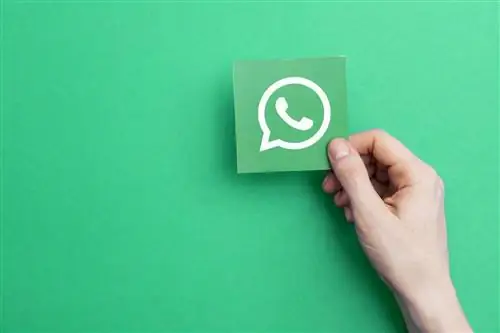 WhatsApp - это больше, чем просто приложение для обмена сообщениями, это инструмент маркетинга