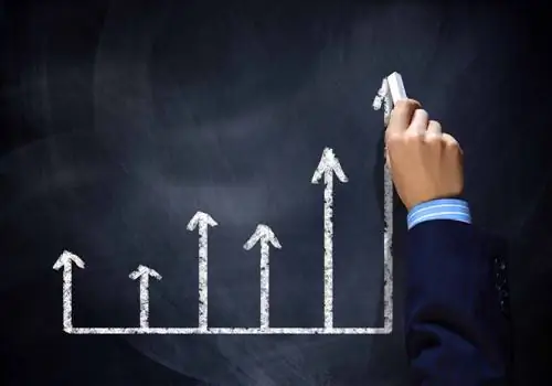 Как растут самые успешные компании-разработчики программного обеспечения