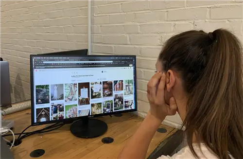 Я спросил, они не ответили: уроки ужасного опыта онлайн-исследований