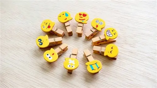 Как использовать эмоциональные триггеры в тексте, чтобы увеличить продажи