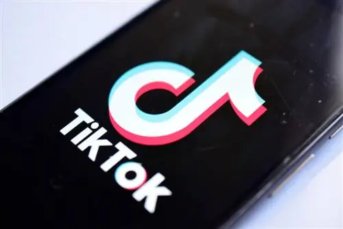 TikTok делает большие успехи