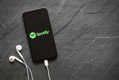 Spotify выпускает новые показатели Ad Studio, которые помогут художникам оценить эффективность кампании