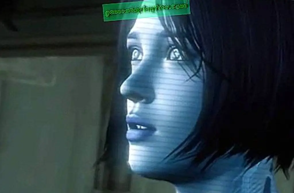 Image Image