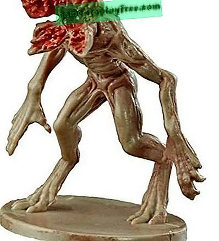 Image Image