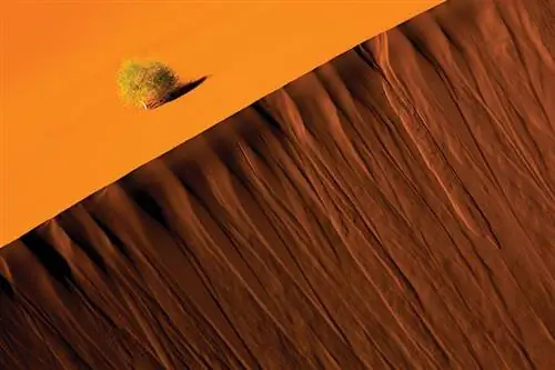 Путеводитель по фотографиям: Намибия