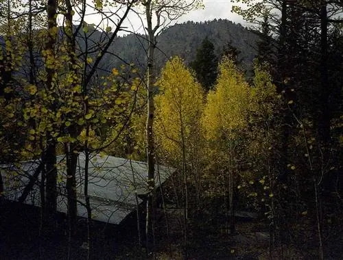 Полное руководство по съемке пленки с истекшим сроком годности