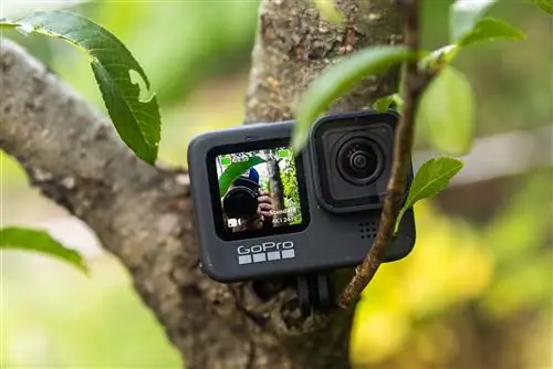 Обзор камеры GoPro Hero 9 Black: недооцененный инструмент для фотографов
