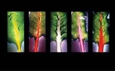 Персональный проект: Роберт Бюльтеман