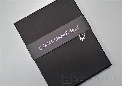 Geeknetic Обзор памяти DDR4 G. Skill Trident Z Royal 3200C16 3