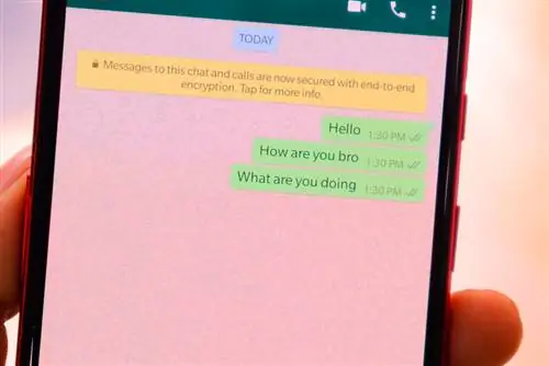 WhatsApp позволяет удалять сообщения для всех без ограничения по времени в последней бета-версии