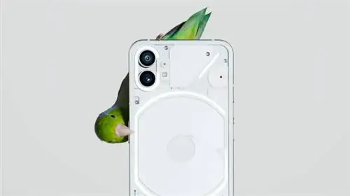 ничего такого