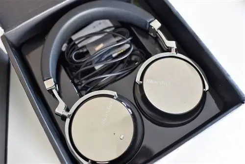 Блюдио Т4С 1