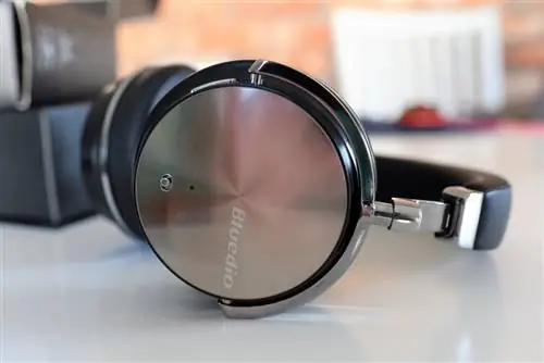 Блюдио Т4С 2