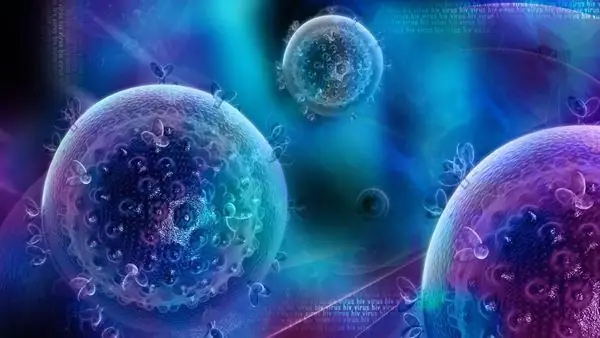 ВИЧ элиминируется в питательной среде