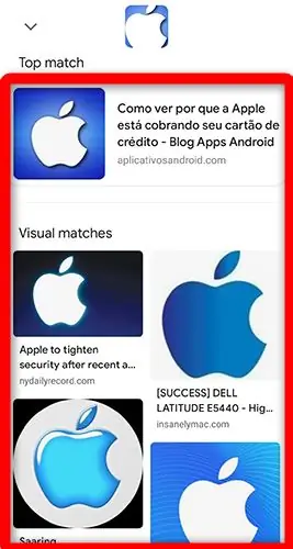 Обратные результаты поиска изображения в Google Chrome
