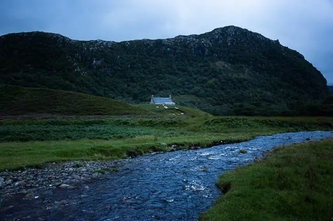 тональное изображение с зеленью и синим цветом