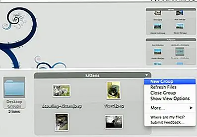 Desktop Groups - это настольный органайзер для Mac OS X