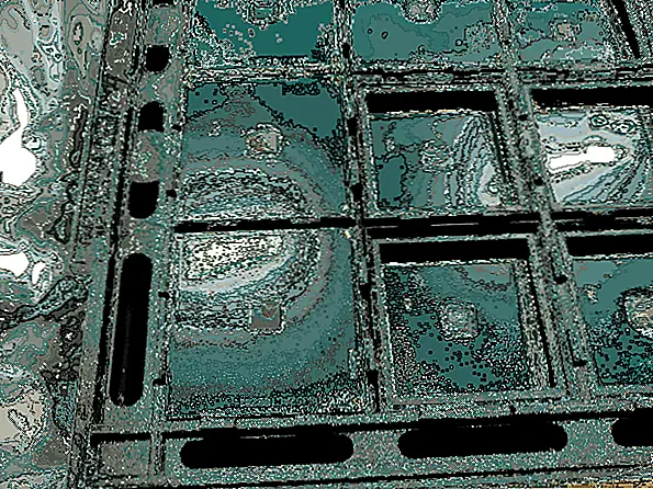 Варианты процессора имеют шесть категорий с одним микроконтроллером (класс C) и пятью процессорами (классы I, M, S, H, T).