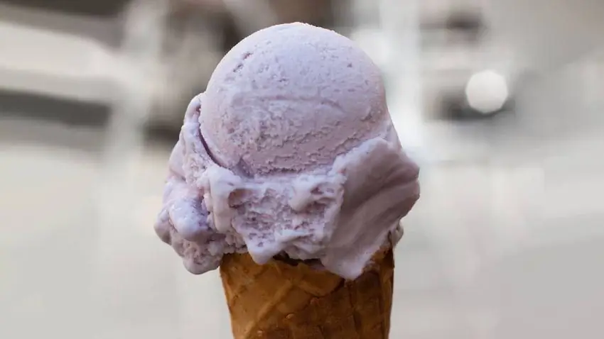 Выход: 1 литр По Дженни Маккой Ингредиенты: 6 больших яичных желтка 1 1-2 стакана цельного молока 1 1-2 стакана жирных сливок 1 1-2 ст.л. свежих (или сушеных) цветов лаванды Мелко тертая цедра 1 лимона 1-4 чайной ложки мелкая морская соль 1-2 стакана плюс 2 столовые ложки сахарного песка, разделенные Метод: 1. Положите желтки в большую миску; отложите до готовности к использованию. 2. В средней кастрюле доведите до кипения молоко, сливки, лаванду, цедру лимона, соль и 1-4 стакана сахара. Выключите огонь и дайте настояться при комнатной температуре в течение 10 минут; вернемся к бурному кипению. 3. Взбейте оставшийся сахар в миску с желтками до однородной массы. Мягко закалите желтки, медленно добавляя к ним желтые лавандовые сливки, постоянно взбивая. После полного перемешивания процедите смесь через мелкоячеистое сито в большую металлическую чашу. Поставьте миску с основой для мороженого на другую миску с ледяной водой и перемешайте до остывания. 4. Замораживайте смесь в машине для мороженого в соответствии с инструкциями производителя, пока мороженое не приобретет гладкую, мягкую текстуру. Хранить в морозильной камере в течение 4 часов перед подачей на стол