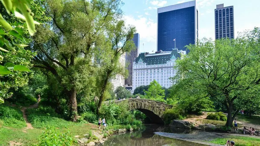 Этот обширный парк площадью 843 акра является национальным историческим памятником, расположенным в центре Манхэттена. Посетители могут взять напрокат лодки в эллинге Леб, посетить белых медведей в зоопарке Центрального парка, поужинать в таверне на Грин и многое другое