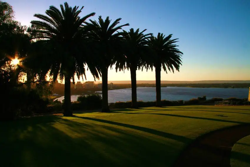 Более 5 миллионов человек посещают этот обширный парк площадью 1 003 акра, расположенный на западном краю центрального делового района Перта. Каждый год в парке проходит крупнейшая в Австралии выставка диких цветов Kings Park Festival