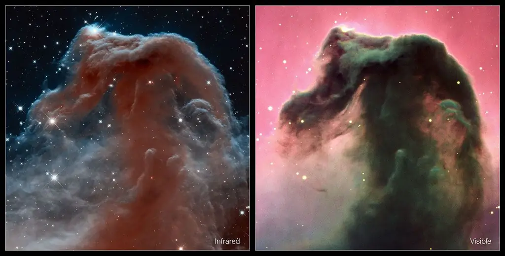 HorseheadNebula