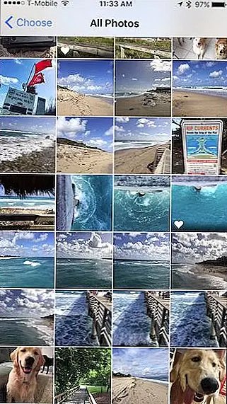 Выбрав Live Photo, вы должны установить его, поэтому вы хотите выбрать вариант «Live Photo». Чтобы проверить это, вы можете нажать на экран, чтобы оживить его, иначе нажмите «Установить».