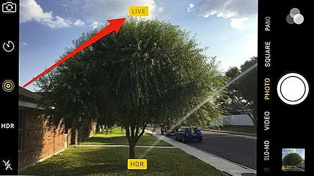 Как только этот флажок исчезнет, вы знаете, что ваше Live Photo сделано, и вы можете просмотреть его в Фото. Чтобы полностью захватить движение вашего объекта, вам нужно будет держать камеру на ней, пока она не будет выполнена. Поэтому вам нужно оставаться довольно спокойным, чтобы ваша Live Photo не вышла из строя. Практикуйте дыхание медленно, когда вы нажимаете кнопку спуска затвора и используете кнопку уменьшения громкости для достижения наилучших результатов.