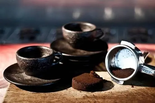 Эти кофейные чашки и блюдца в форме дерева сделаны из переработанной кофейной гущи