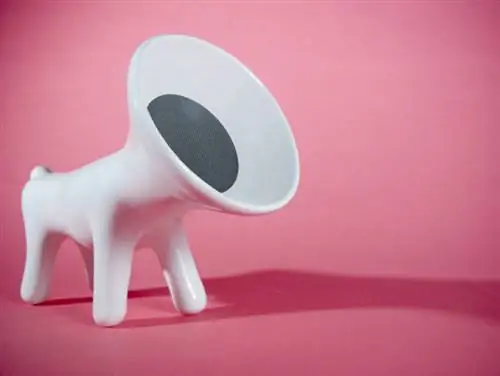 Гав… Гав… Низкочастотный динамик: динамик Hi-FiDo