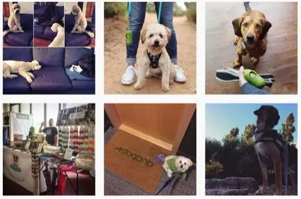 Кампания хэштегов с рейтингом Земли