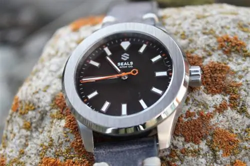 Обзор часов Seals Watch Co. Dark Seal с фиксированным безелем