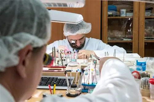 Интервью с Константином Чайкиным & Посещение производства в Москве, Россия