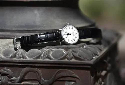 Frederique-Constant-Classics-Art-Of-Porcelain-FC-302P4S6-3