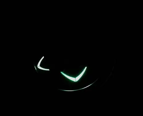 Ulysse-Nardin-Freak-Cruiser-Watch-1