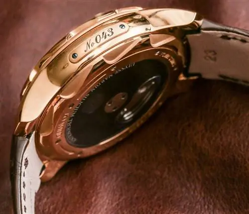 Ulysse-Nardin-Freak-Cruiser-Watch-6