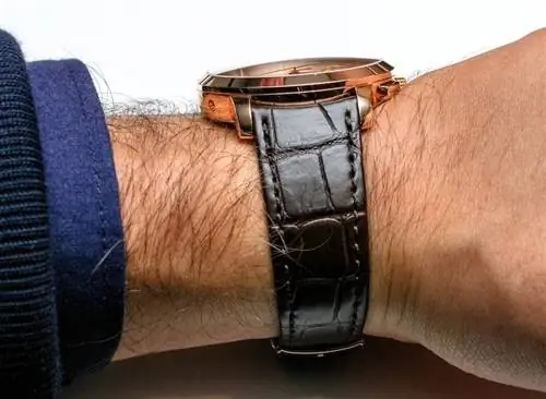 Girard-Perregaux-1966-Dual-Time-5