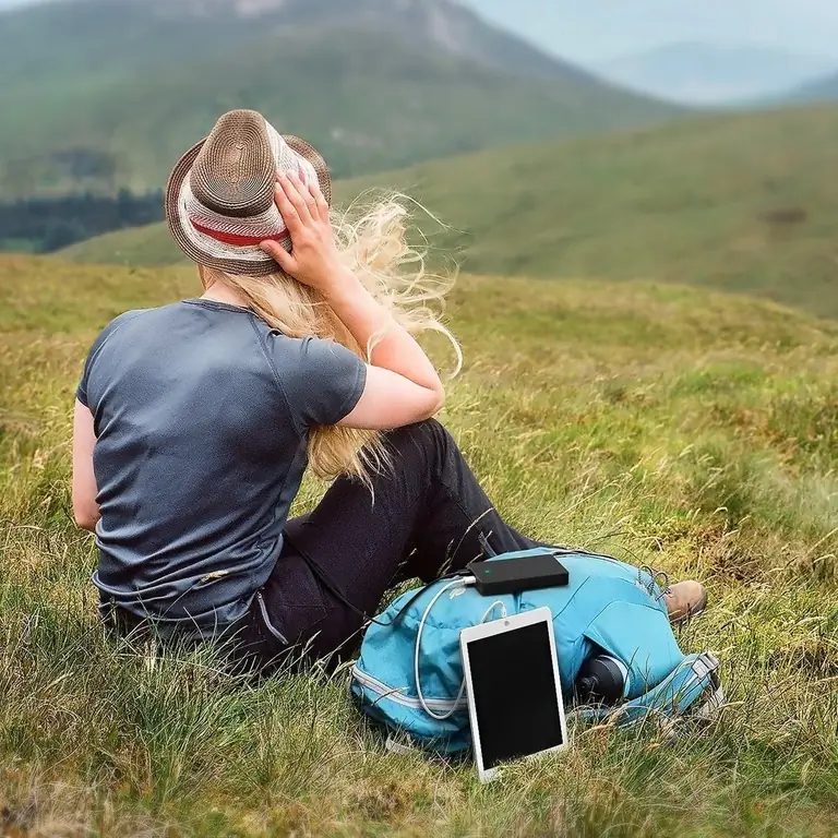 Внешний аккумулятор в кустах