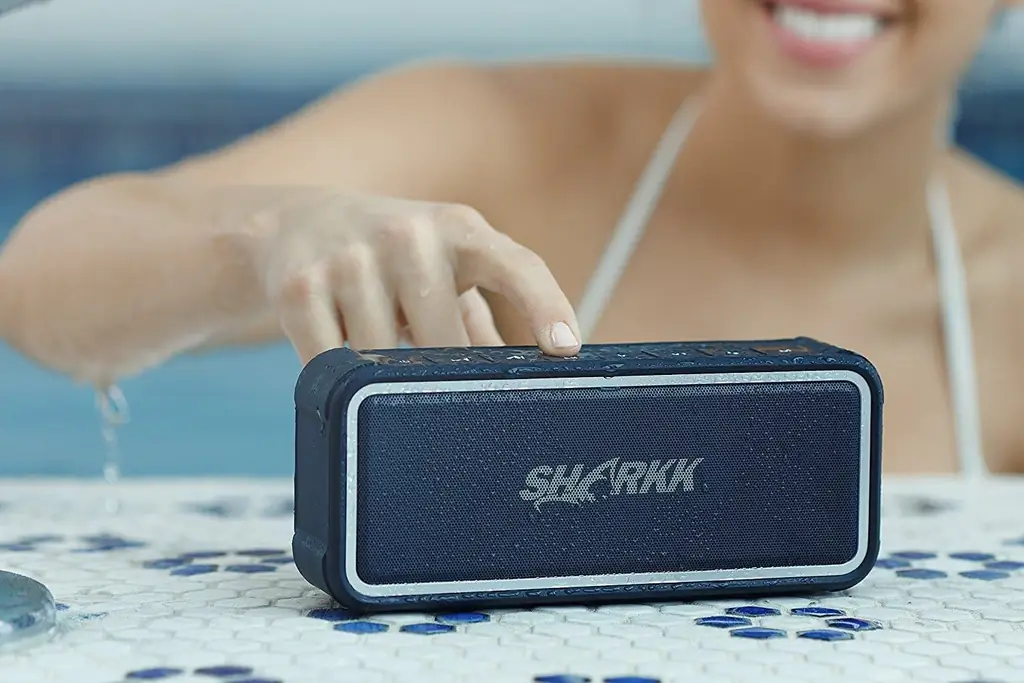 погружной динамик