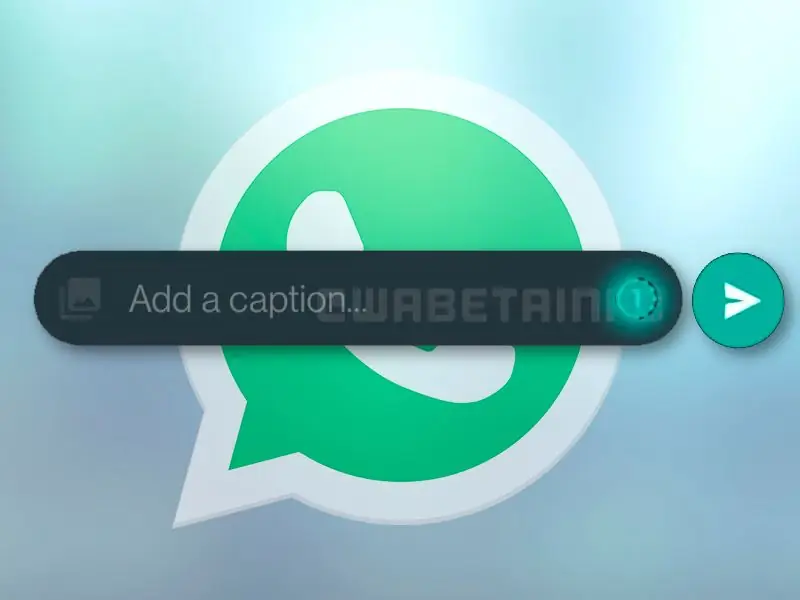 Очень важная новинка в WhatsApp: сообщения со сроком действия