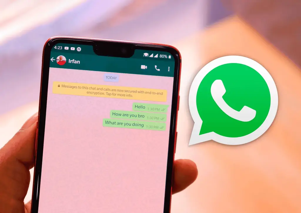 Важные изменения в WhatsApp для Last Connection