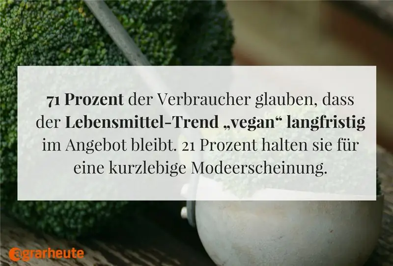 Галерея изображений