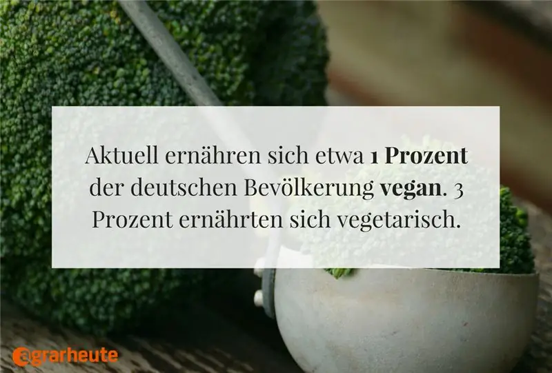 Галерея изображений