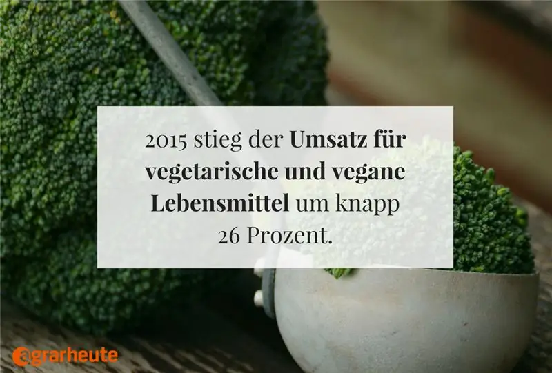 Галерея изображений